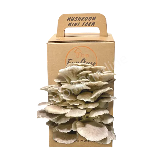 Mushroom Growing Kits