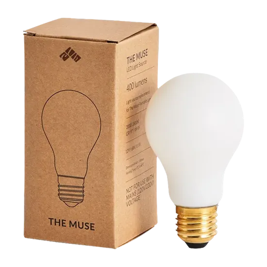 Light Bulb Packaging