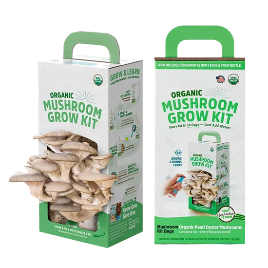 Mushroom Growing Kit