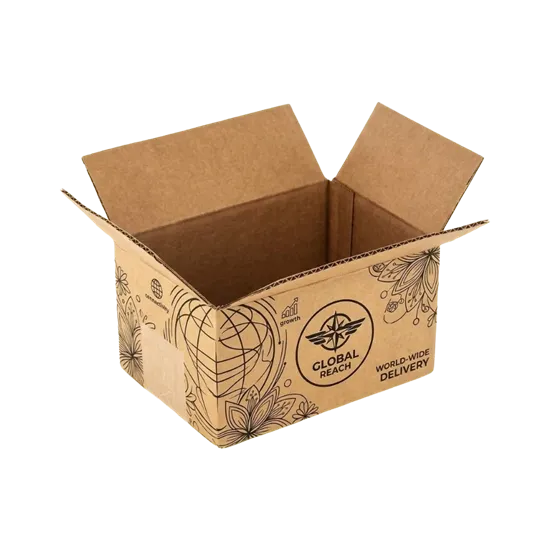 Package Delivery Box