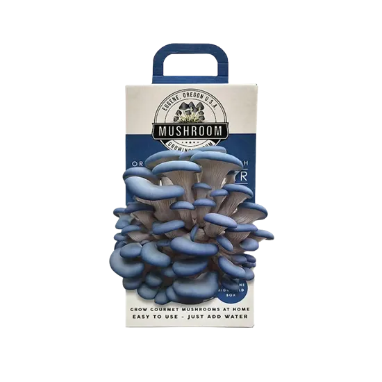 Printed Mushroom Kit