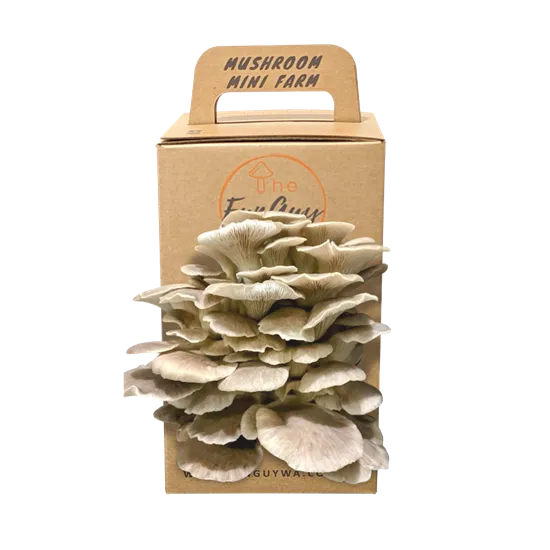 Custom Mushroom Growing Kit
